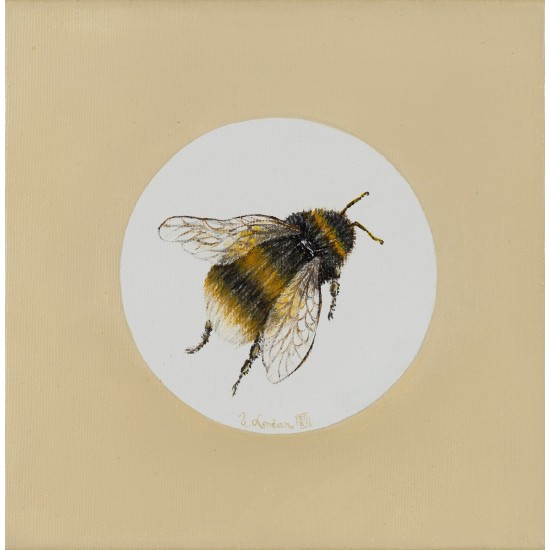 Bumblebee #1